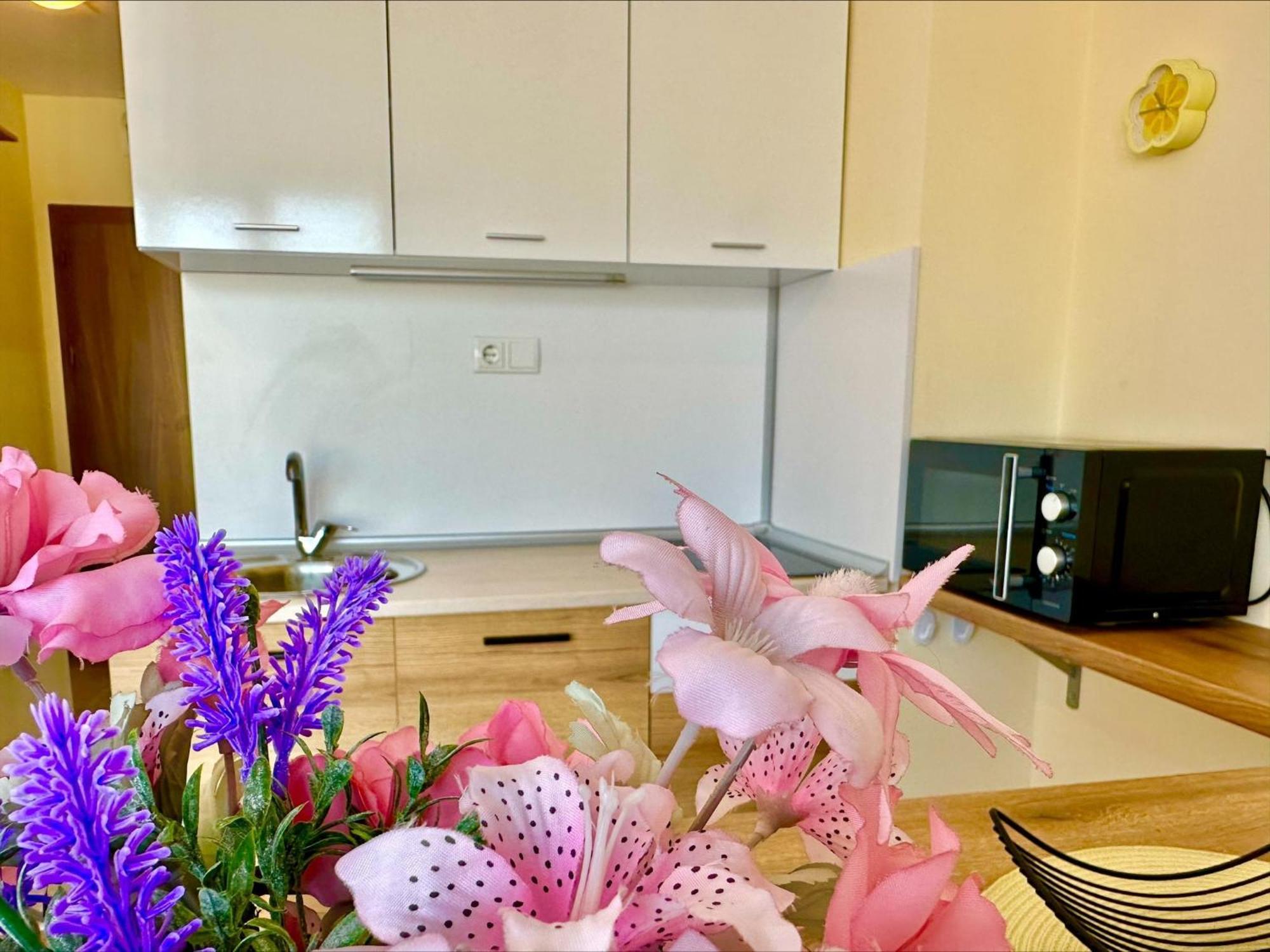 Ipanema Beach - Menada Apartments Sveti Vlas Rom bilde